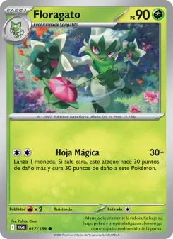 Floragato, Juntos de Aventuras 017
