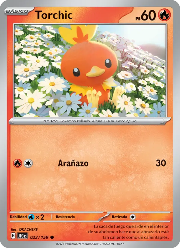 Torchic, Juntos de Aventuras 022