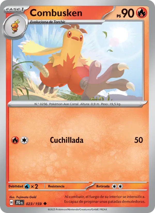 Combusken, Juntos de Aventuras 023