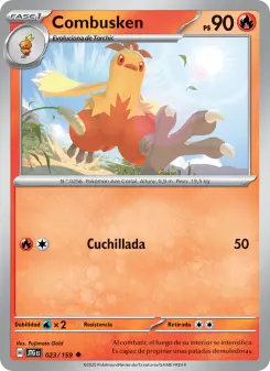 Combusken, Juntos de Aventuras 023