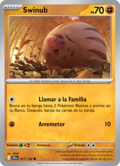 Swinub, Juntos de Aventuras 077