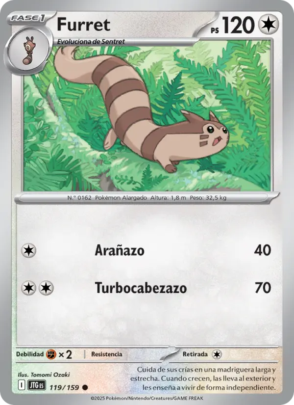 Furret, Juntos de Aventuras 119