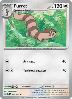 Furret, Juntos de Aventuras 119