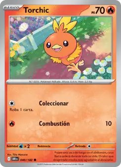 Torchic, Rivales Predestinados 040