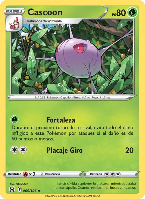 Cascoon, Origen Perdido 009