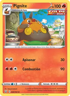 Pignite, Estilos de Combate 24