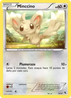 Minccino, Kit de Entrenador XY (Pikachu Enmascarada) 19