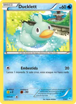 Ducklett, Kit de Entrenador XY (Suicune) 7