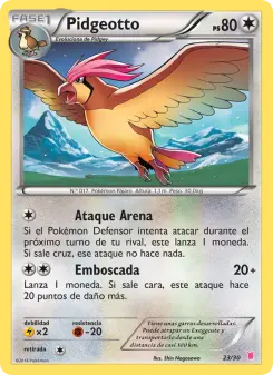 Pidgeotto, Kit de Entrenador XY (Wigglytuff) 23