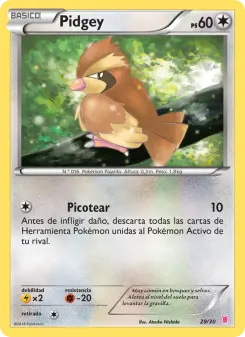 Pidgey, Kit de Entrenador XY (Wigglytuff) 29