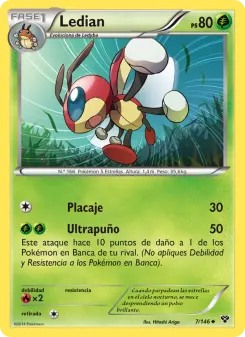 Ledian, XY 7