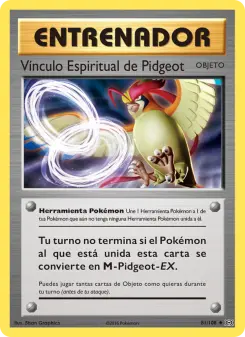 Vínculo Espiritual de Pidgeot, Evoluciones 81