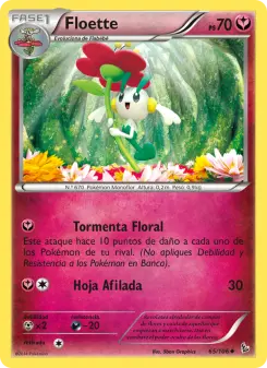 Floette, Destellos de Fuego 65