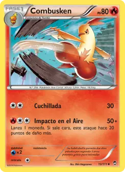 Combusken, Puños Furiosos 13