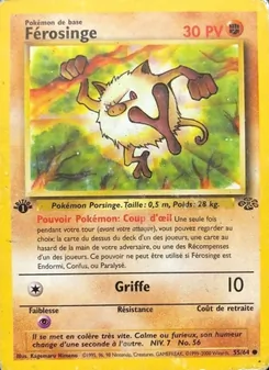 Férosinge, Jungle 55