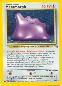 Metamorph, Fossile 3