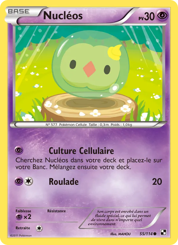 Nucléos, Noir & Blanc 55