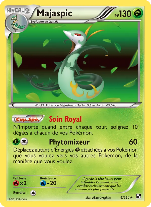 Majaspic, Noir & Blanc 6