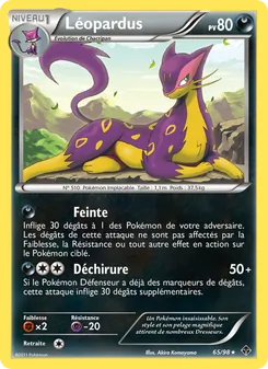 Léopardus, Pouvoirs Émergents 65