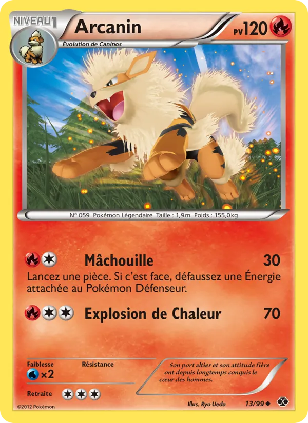Arcanin, Destinées Futures 13