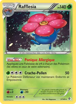 Rafflesia, Frontières Franchies 3
