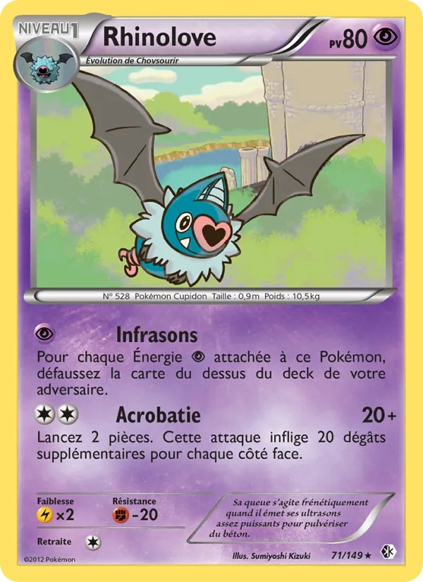 Rhinolove, Frontières Franchies 71