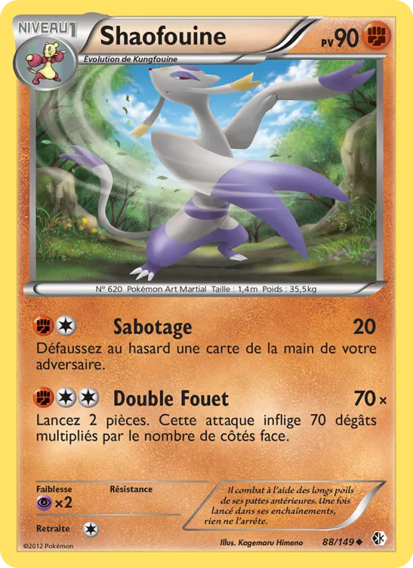 Shaofouine, Frontières Franchies 88