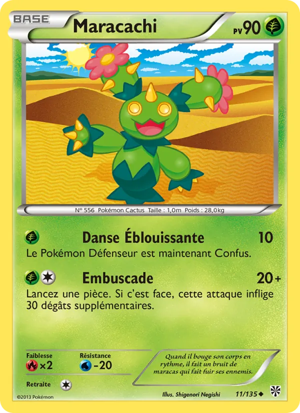 Maracachi, Tempète Plasma 11