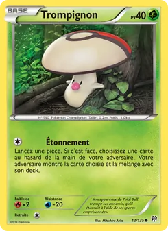 Trompignon, Tempète Plasma 12