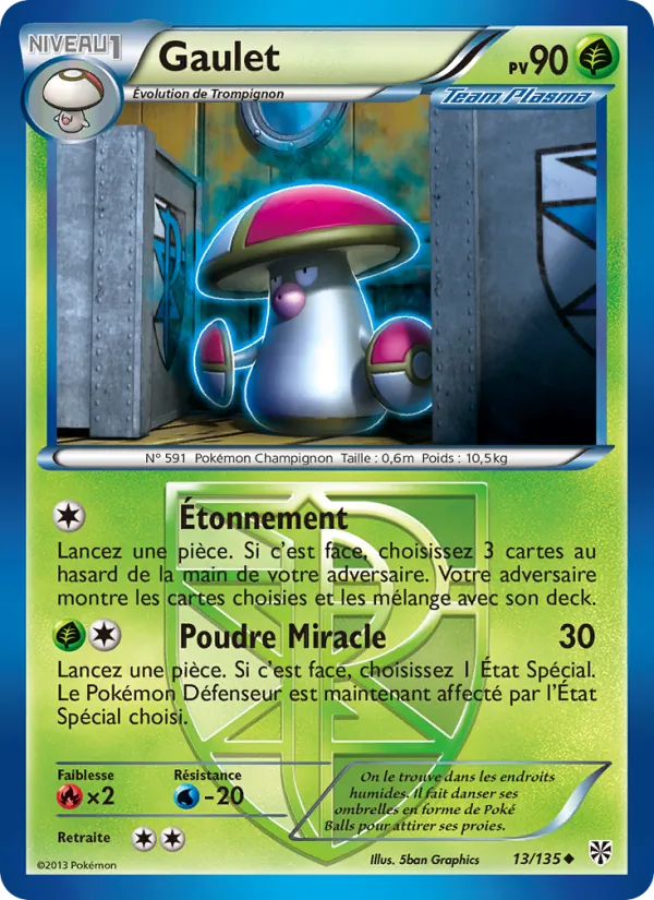 Gaulet, Tempète Plasma 13