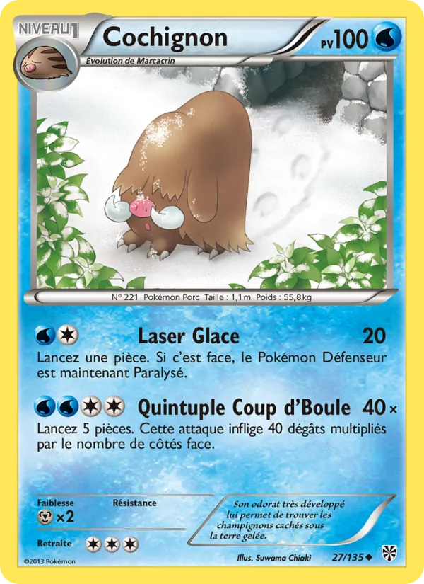 Cochignon, Tempète Plasma 27