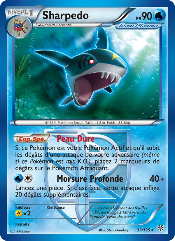 Sharpedo, Tempète Plasma 33