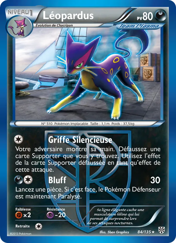 Léopardus, Tempète Plasma 84