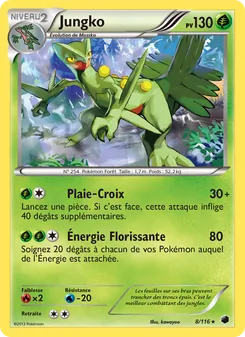 Jungko, Glaciation Plasma 8