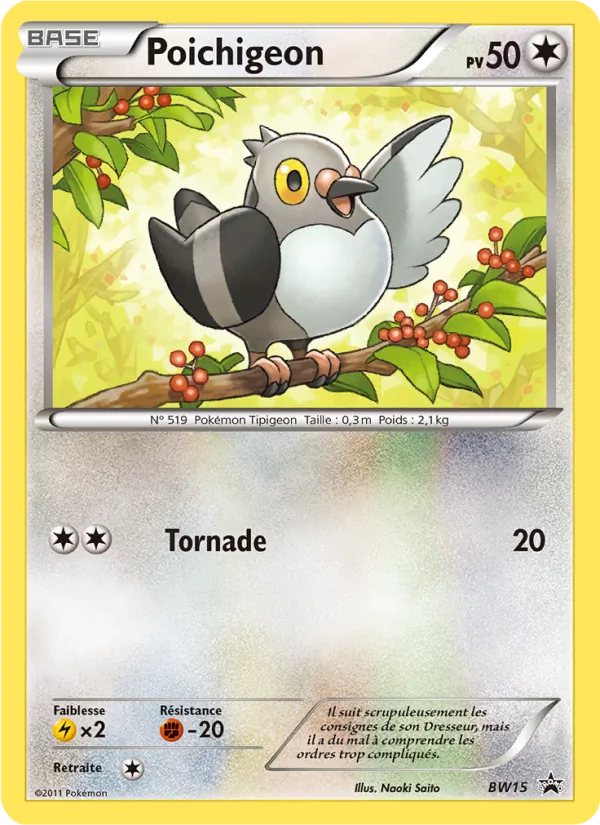 Poichigeon, Promo BW BW15