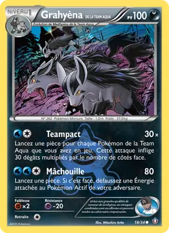 Grahyèna de la Team Aqua, Double Danger 18