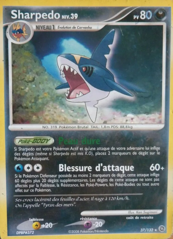 Sharpedo, Merveilles Secrètes 37