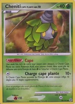 Cheniti Cape Plante, Merveilles Secrètes 78