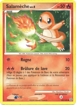 Salamèche, Merveilles Secrètes 82
