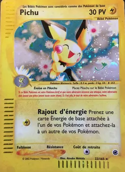 Pichu, Expedition 22