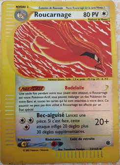 Roucarnage, Expedition 23