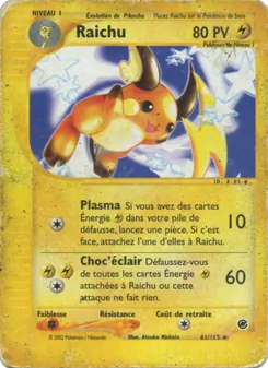 Raichu, Expedition 61