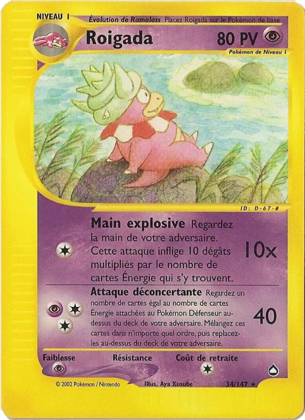 Roigada, Aquapolis 34