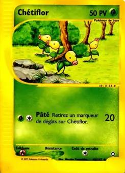 Chétiflor, Aquapolis 45