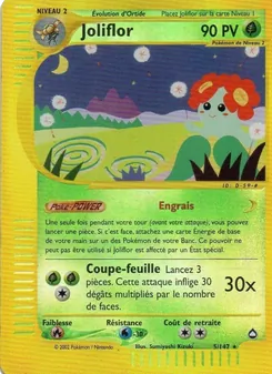 Joliflor, Aquapolis 5