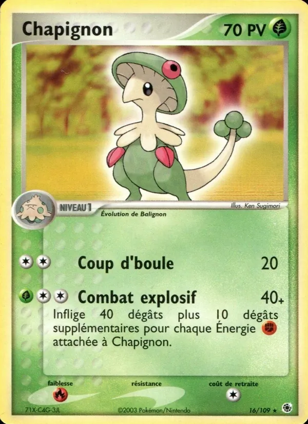 Chapignon, EX Rubis & Saphir 16