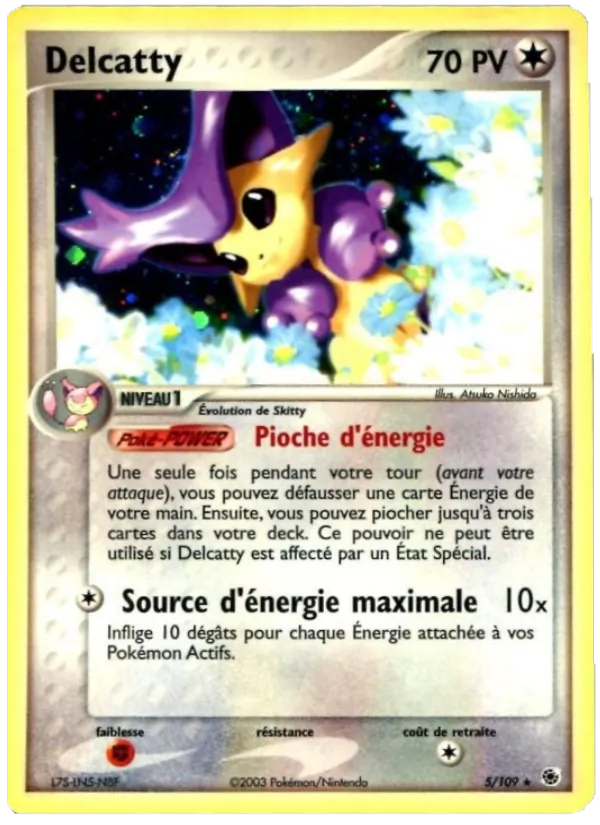 Delcatty, EX Rubis & Saphir 5