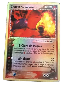 Chartor de Team Magma
