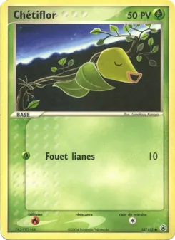 Chétiflor, EX Rouge Feu & Vert Feuille 53