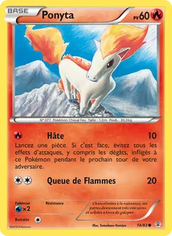 Ponyta, Générations 14